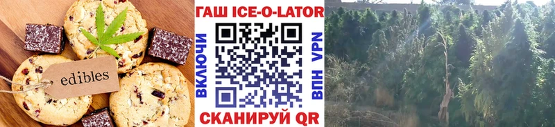 Cannafood марихуана  купить закладку  Тамбов 