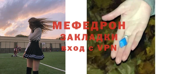 индика Абаза