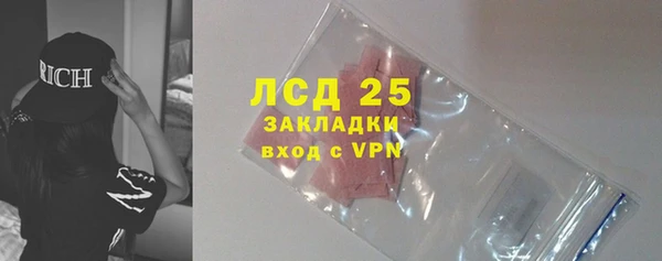 индика Абаза