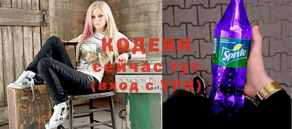 индика Абаза