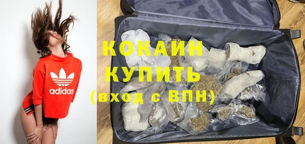 индика Абаза